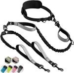 SparklyPets Hands-Free Double Dog Leash for Two