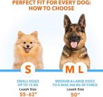 SparklyPets Hands-Free Double Dog Leash for Two