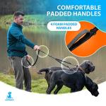 SparklyPets Hands-Free Double Dog Leash for Two