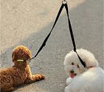 No Tangle Dog Leash Coupler for Two Dogs