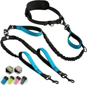 Hands-Free Double Dog Leash for Two Dogs