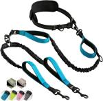 Hands-Free Double Dog Leash for Two Dogs