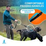 Hands-Free Double Dog Leash for Two Dogs