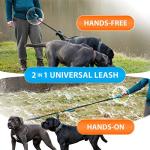 Hands-Free Double Dog Leash for Two Dogs