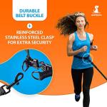 Hands-Free Double Dog Leash for Two Dogs