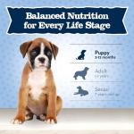 Blue Buffalo Baby Blue Puppy Dry Food, Chicken