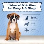 Blue Buffalo Baby Blue Small Breed Puppy Food