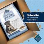 Blue Buffalo Baby Blue Puppy Dry Food, Chicken