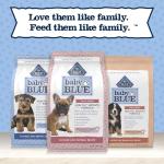 Blue Buffalo Baby Blue Small Breed Puppy Food