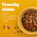 Pedigree Grilled Steak Puppy Dry Food, 3.5 lb