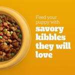 Pedigree Grilled Steak Puppy Dry Food, 3.5 lb