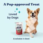 Solid Gold Freeze-Dried Beef & Superfood Dog Food