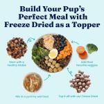 Solid Gold Freeze-Dried Beef & Superfood Dog Food