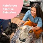 Pupford Freeze Dried Beef Liver Dog Treats