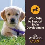 Grain-Free Wellness CORE Puppy Training Treats