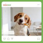 Chicken Rawhide Twist Sticks for Small Dogs