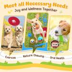 Puppy Chew Toy Pack: Dental & Interactive Fun!