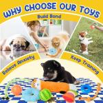 PatsFran 9-Pack Puppy Teething and Chew Toys