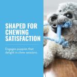 KONG Puppy Goodie Bone with Rope Toy - Blue