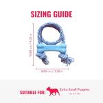 KONG Puppy Goodie Bone with Rope Toy - Blue