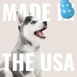 KONG Puppy Goodie Bone with Rope Toy - Blue