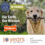 Nylabone Chicken Flavor Chew Toy for Puppies