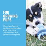 KONG Puppy Binkie Chew Toy - Blue