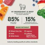 Instinct Freeze Dried Raw Beef Dog Food 25 oz