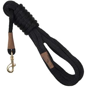 USA-made Black Snap Leash for Dog Training
