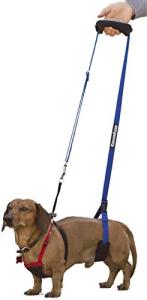 GINGERLEAD Dog Support Sling for Small Pets