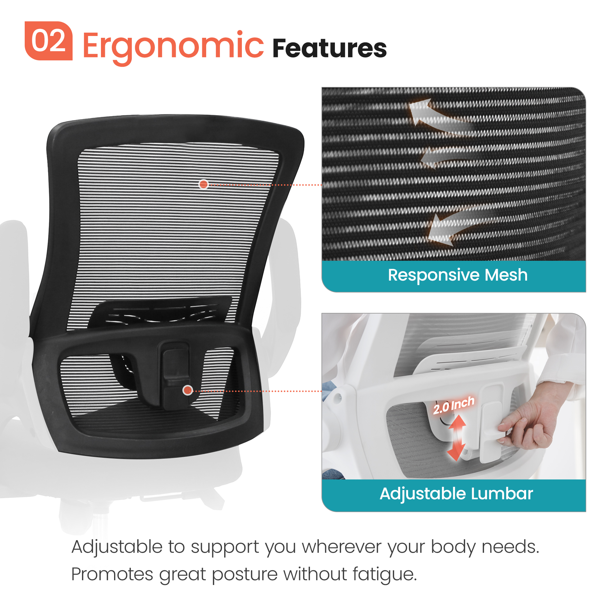 High Back Ergonomic Office Chair with Lumbar Support