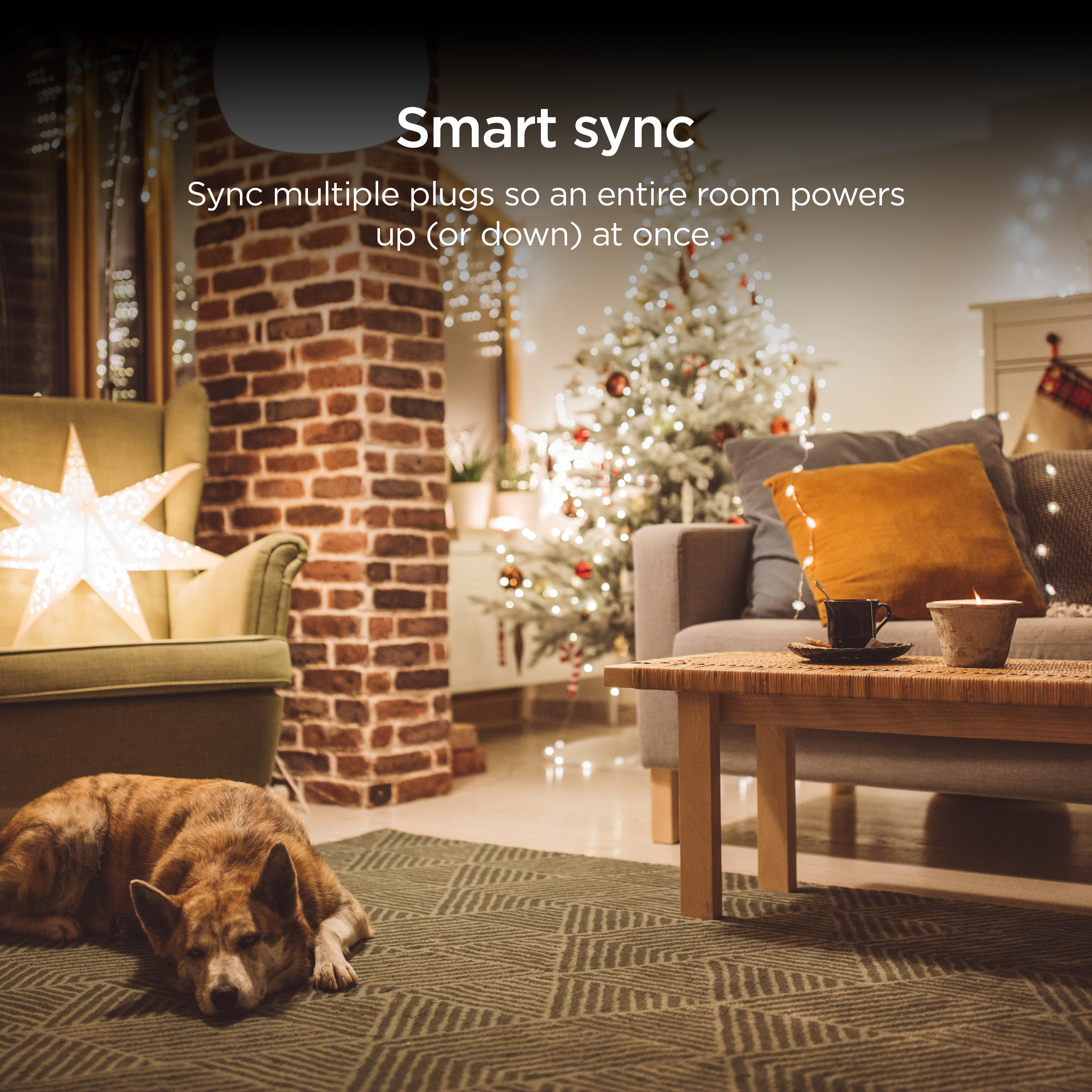 Roku Indoor Smart Plug with Scheduling & Voice Compatibility