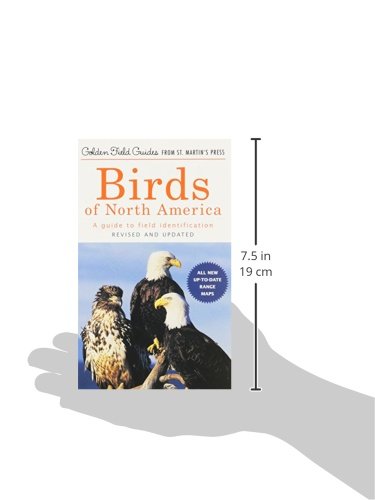 Field Guide: Birds of North America (Golden Field Guide)
