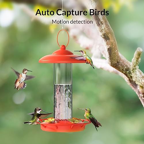 NETVUE Birdfy Lite - Smart Outdoor Bird Feeder