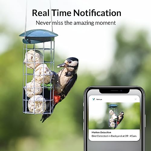 NETVUE Birdfy Lite - Smart Outdoor Bird Feeder