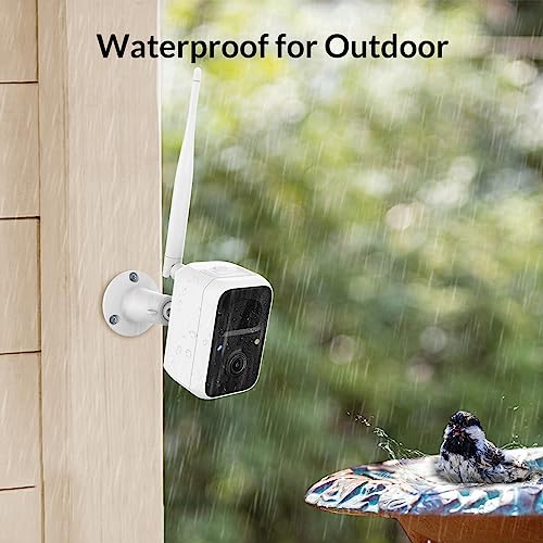 NETVUE Birdfy Lite - Smart Outdoor Bird Feeder