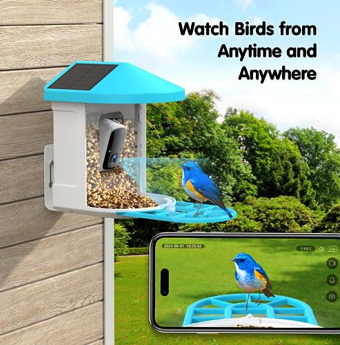 Wireless Bird Feeder Camera: AI Identify & HD Videos