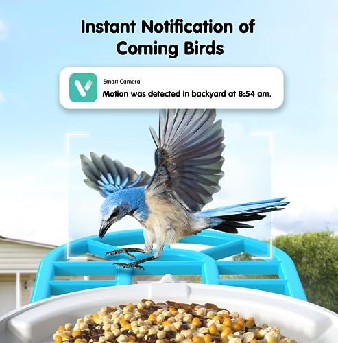 Wireless Bird Feeder Camera: AI Identify & HD Videos