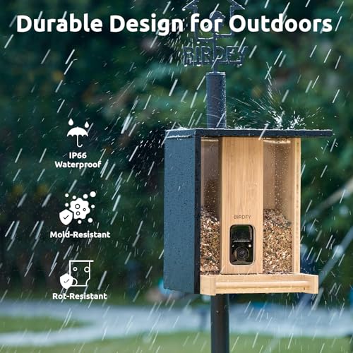 Smart Bird Feeder with Camera - Eco-Friendly Bamboo