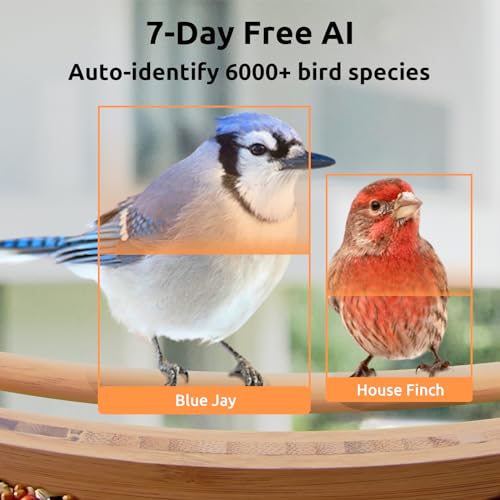 Smart Bird Feeder with Camera - Eco-Friendly Bamboo