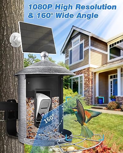 Smart Bird Feeder with Camera, Solar Metal