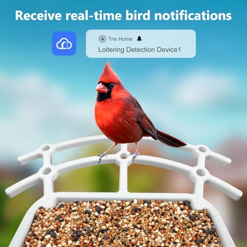 Solar-powered smart bird feeder with wireless camera