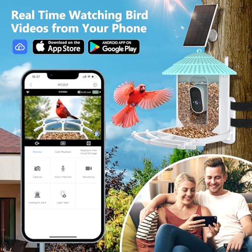 Solar-powered smart bird feeder with wireless camera