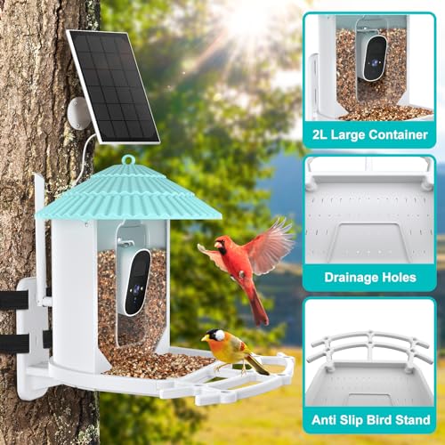 Solar-powered smart bird feeder with wireless camera