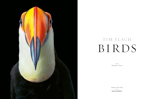 Birds' Paradise