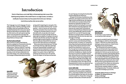 North American Backyard Birds Field Guide with Logbook