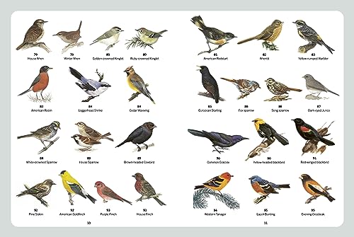 North American Backyard Birds Field Guide with Logbook