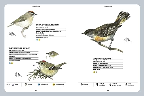 North American Backyard Birds Field Guide with Logbook