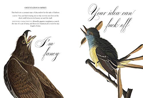 Effin' Birds: Identification Field Guide for Wild Birds