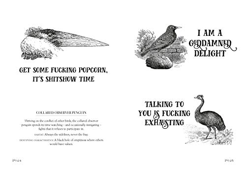 Effin' Birds: Identification Field Guide for Wild Birds